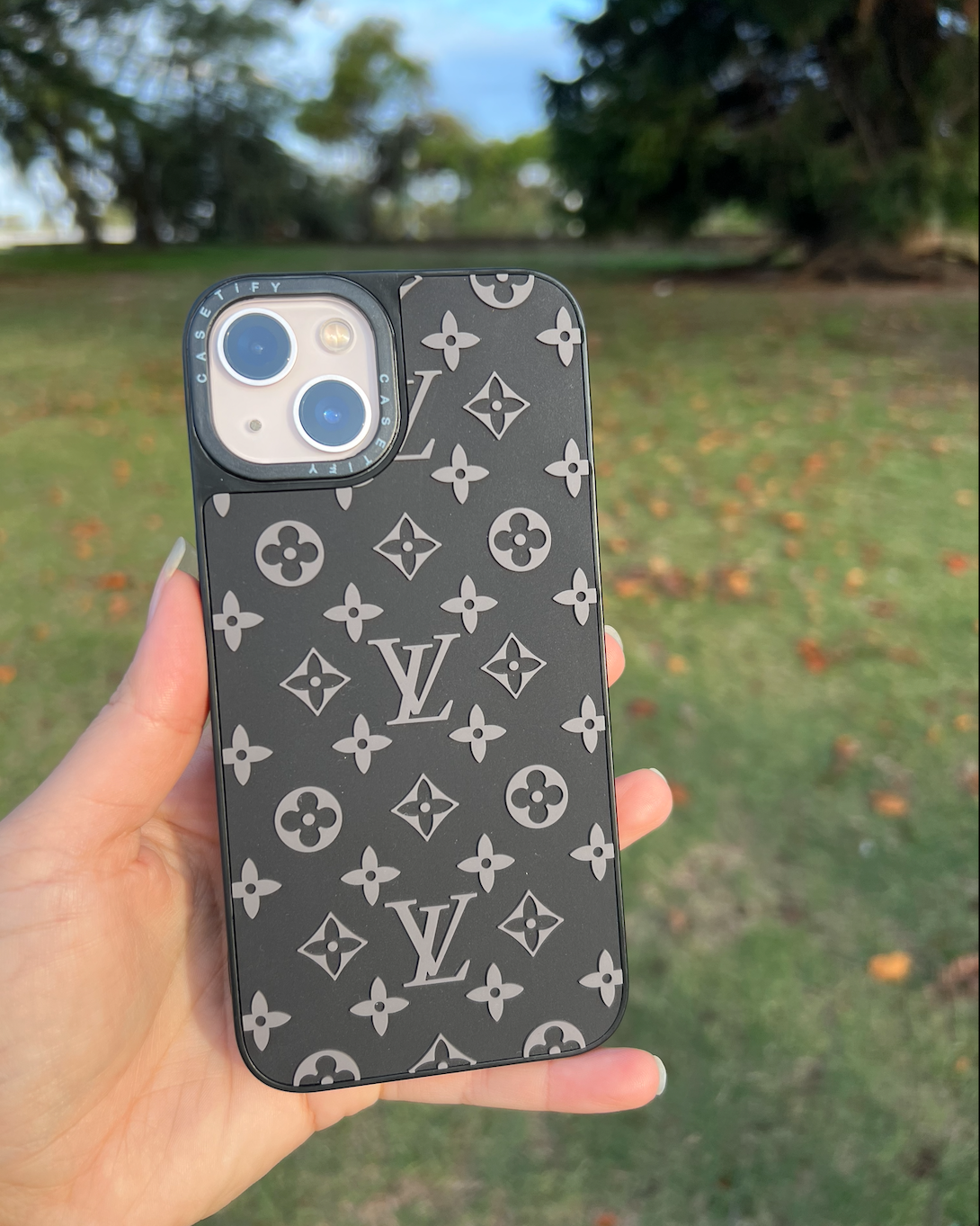 Case Louis Vuitton