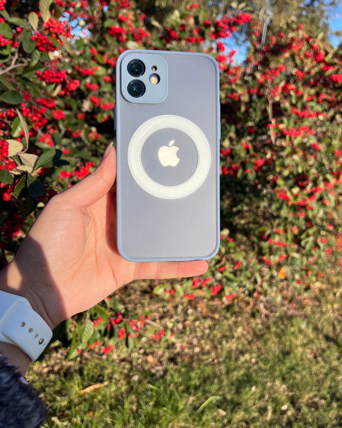 Case magnético